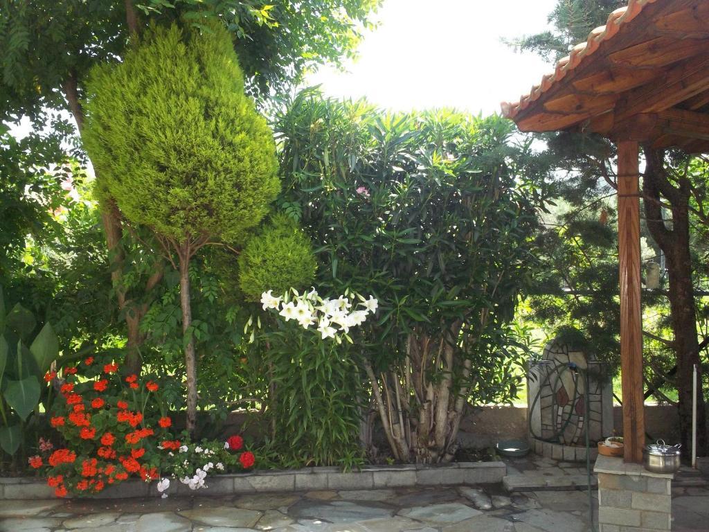 Fotini'S Studios 1 Torone Exterior foto